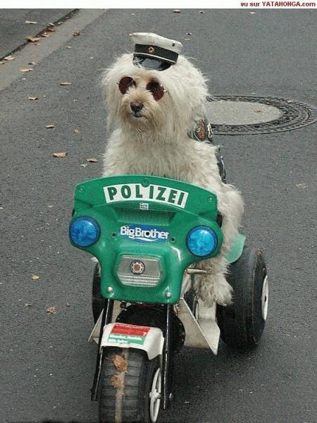 OK, je me rends!!!!